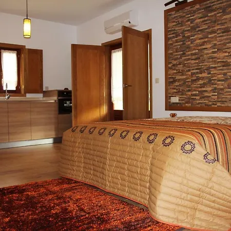 Pensionat Casa Cova Do Barro Janeiro de Cima